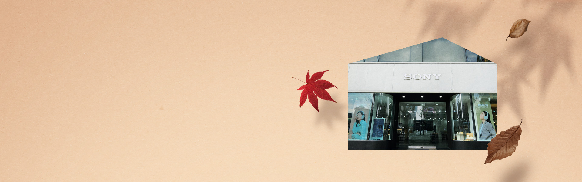 banner1